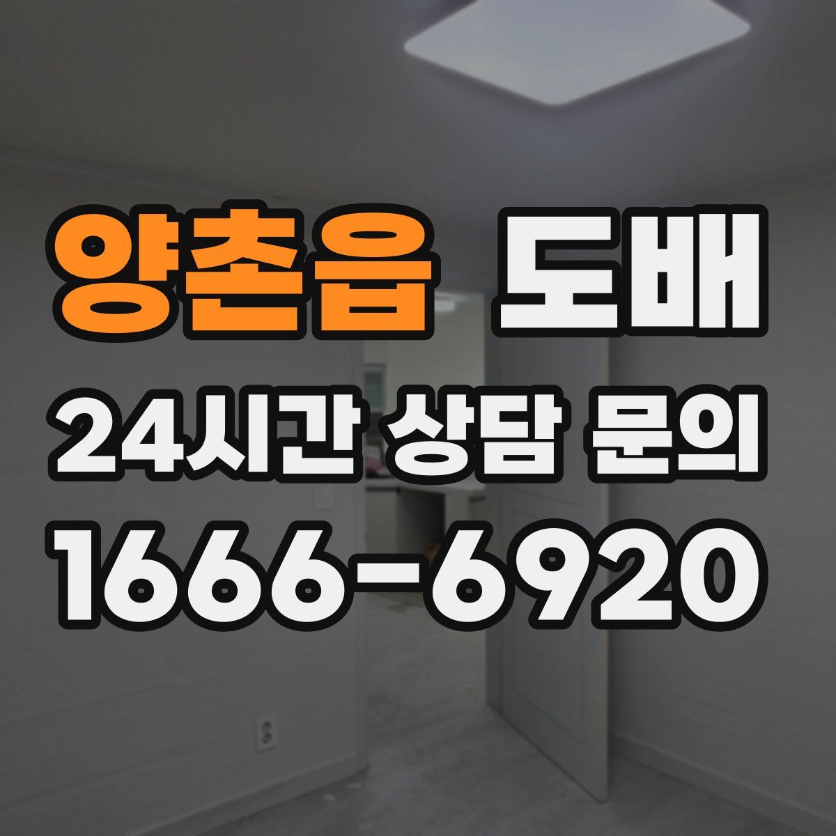 양촌읍 도배