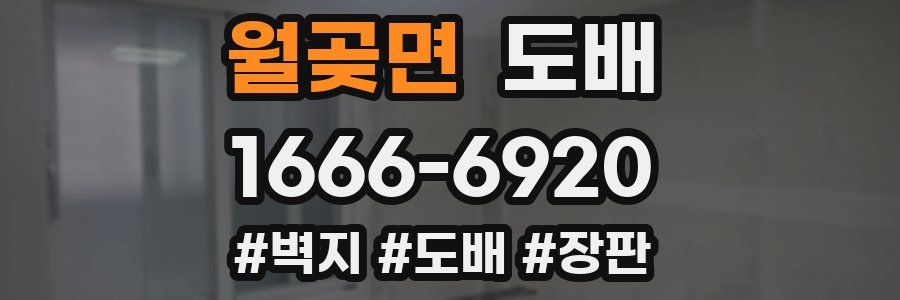월곶면 도배