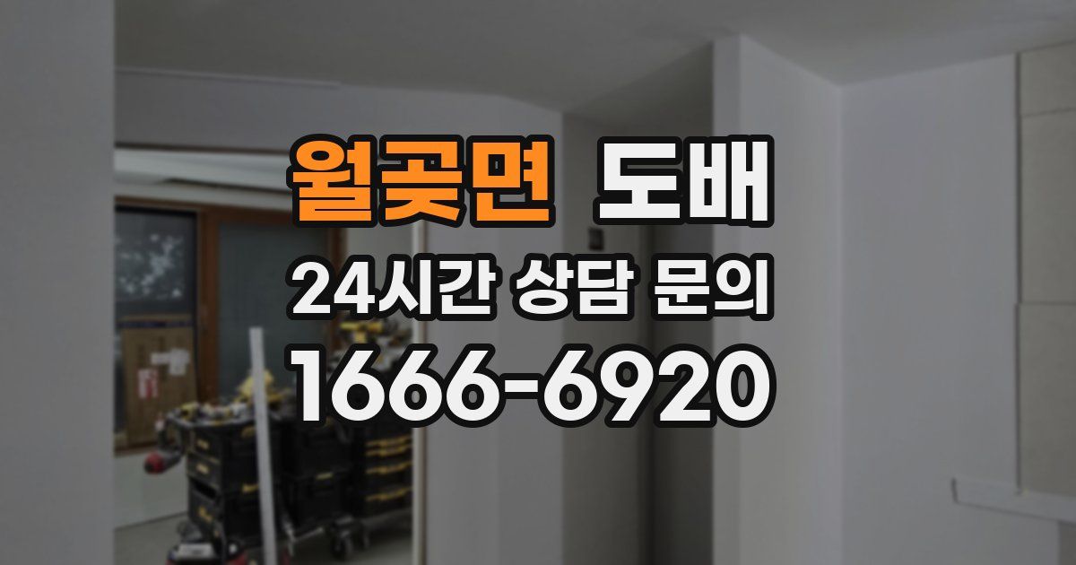 월곶면 도배