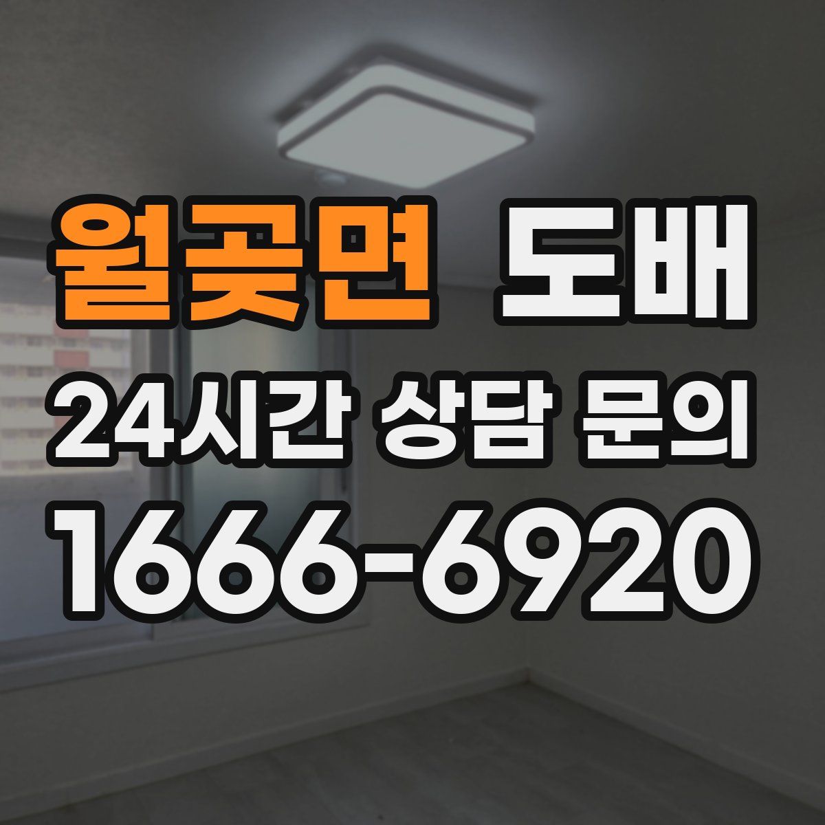 월곶면 도배
