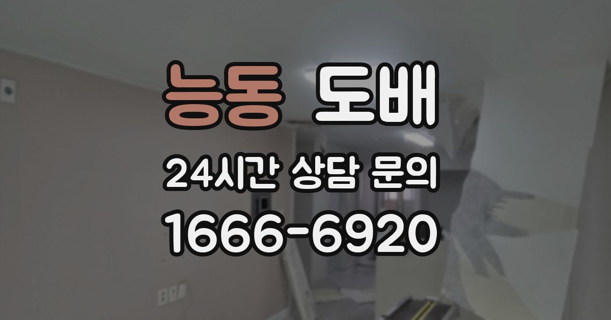 능동 도배
