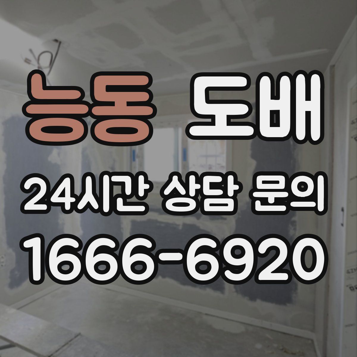 능동 도배