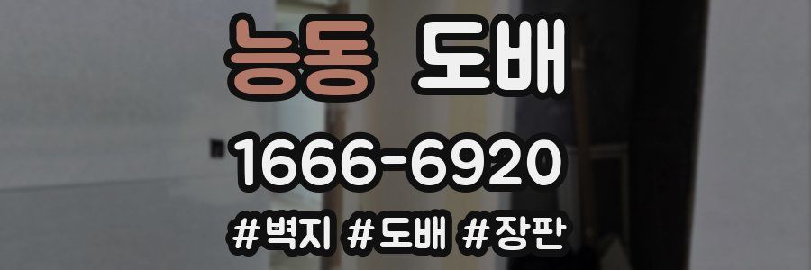 능동 도배