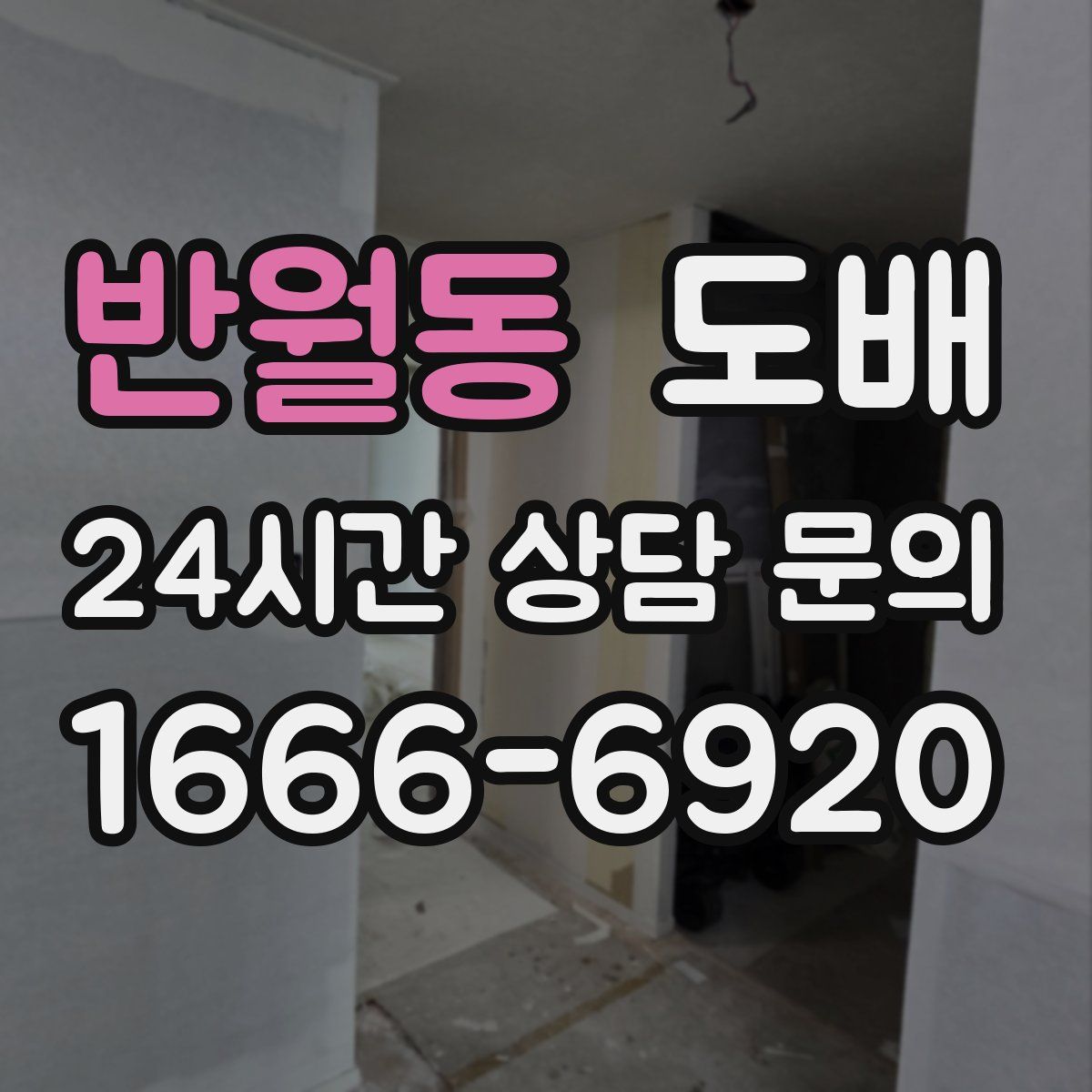 반월동 도배