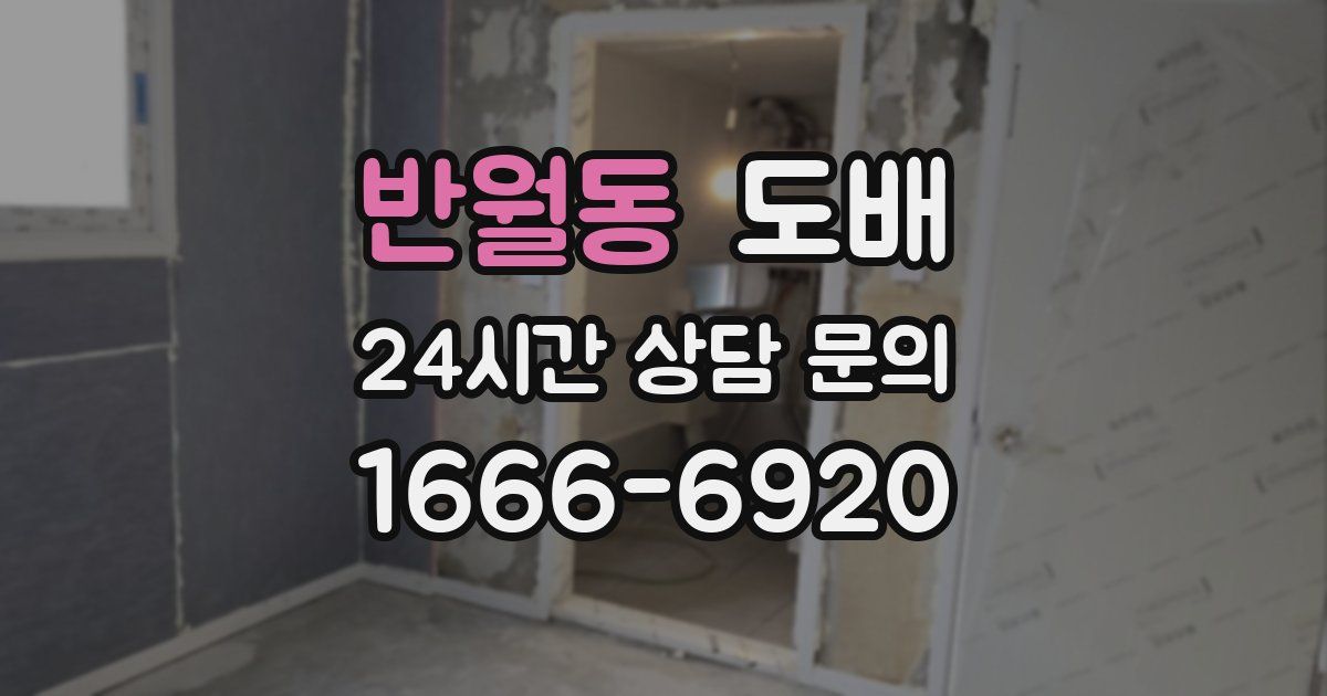 반월동 도배