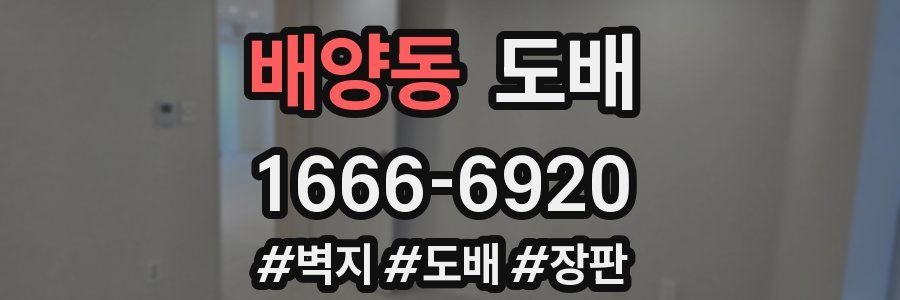 배양동 도배