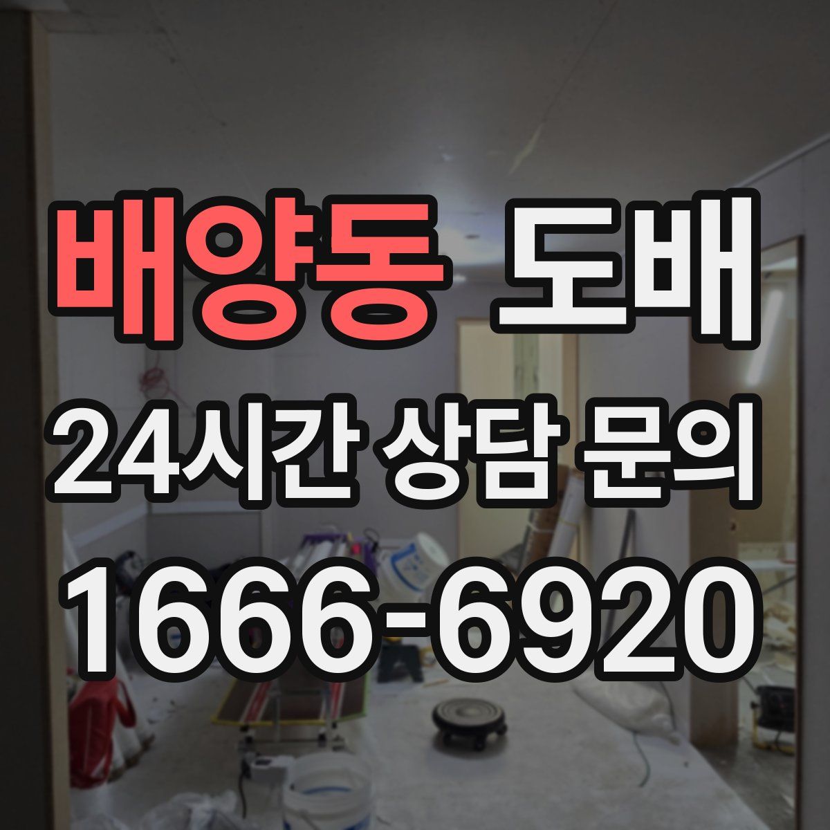 배양동 도배