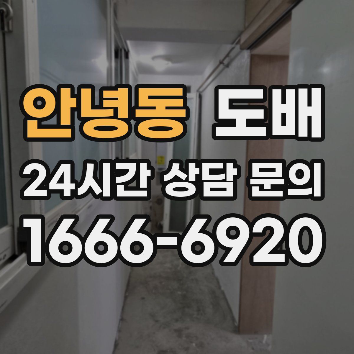 안녕동 도배