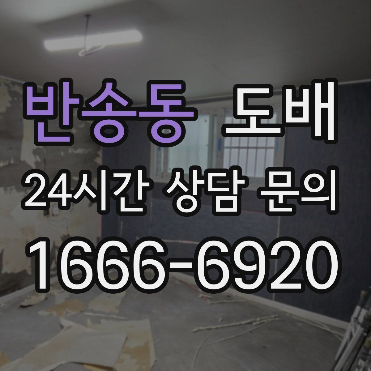 반송동 도배