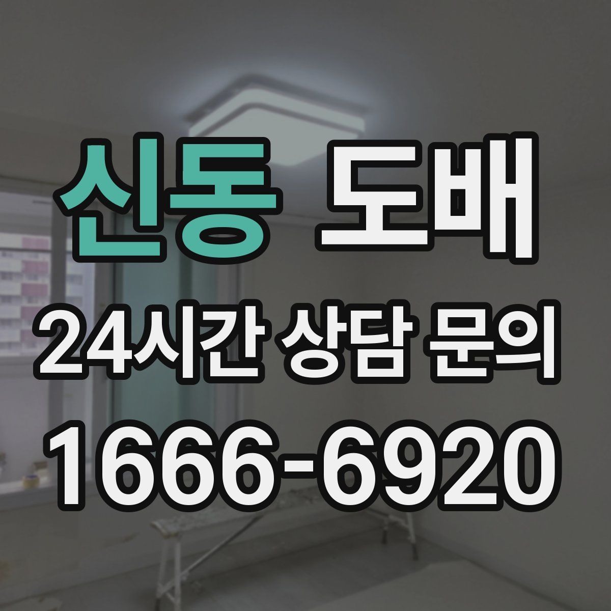 신동 도배