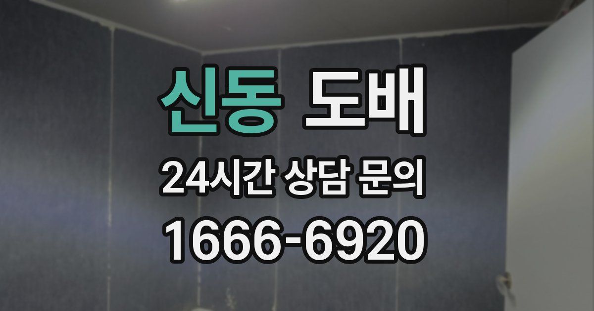 신동 도배