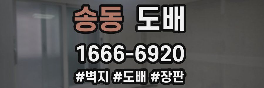 송동 도배