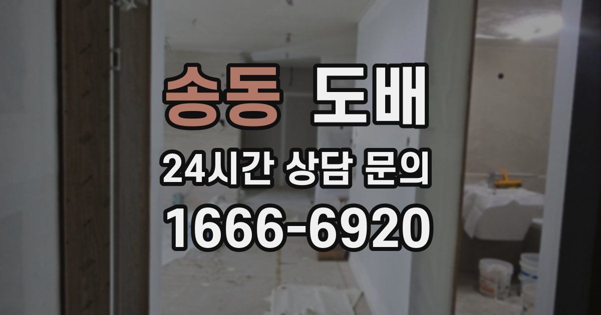 송동 도배