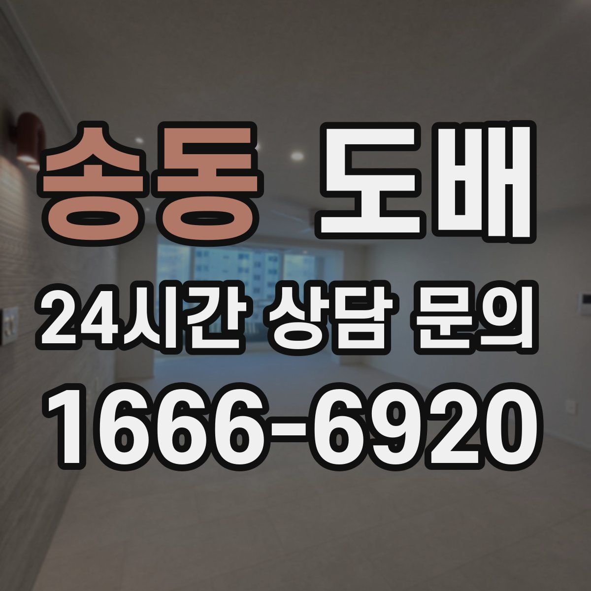 송동 도배