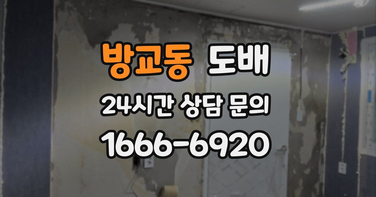 방교동 도배