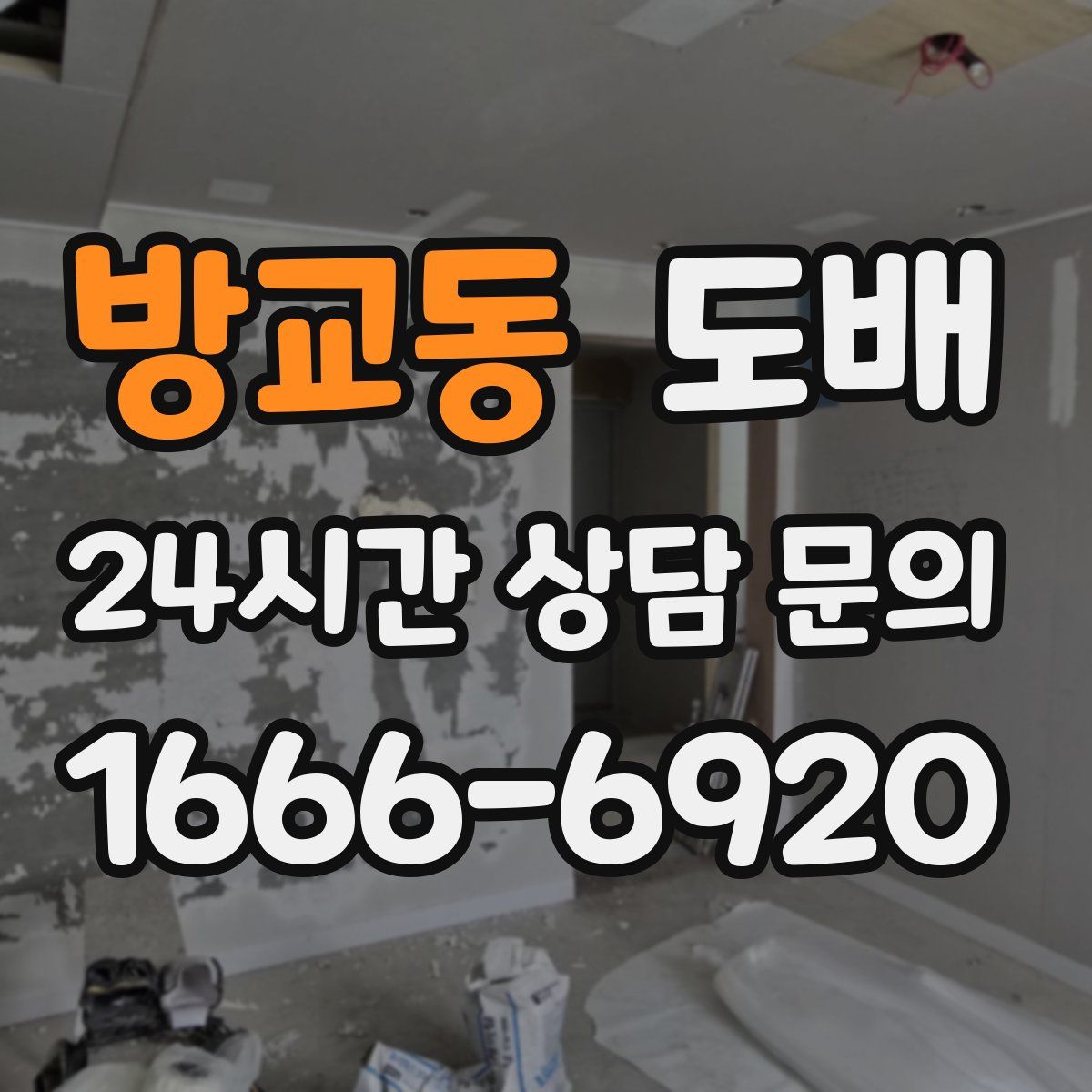방교동 도배