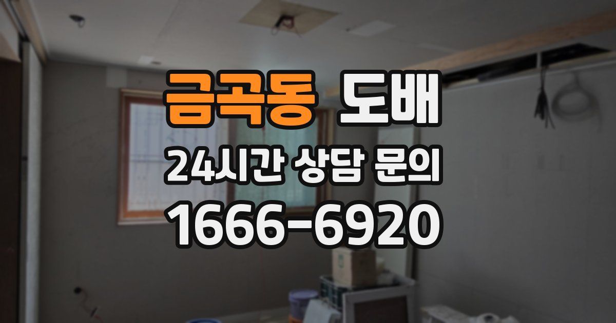 금곡동 도배