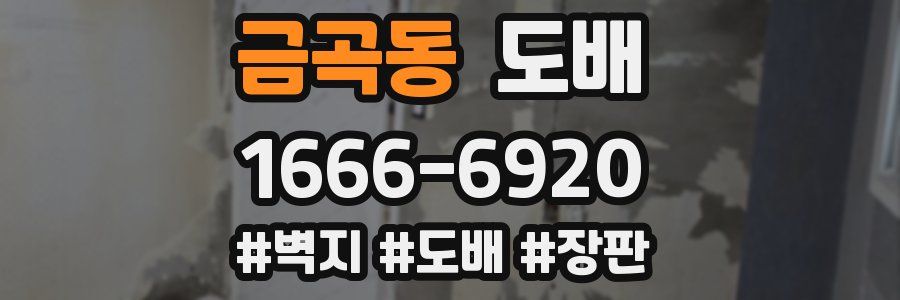 금곡동 도배