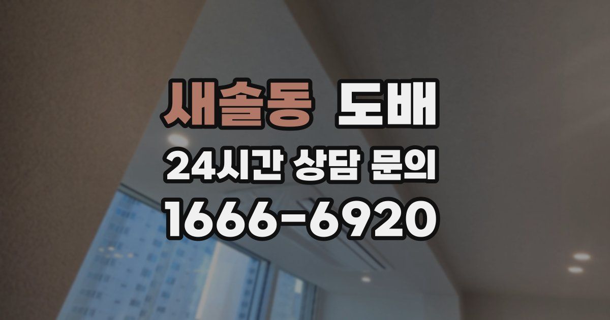 새솔동 도배