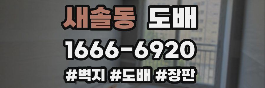새솔동 도배