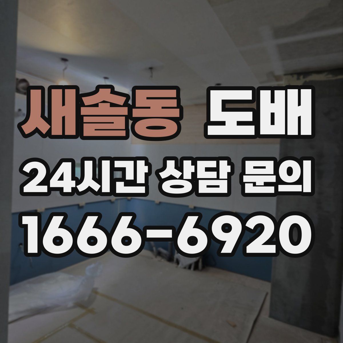 새솔동 도배