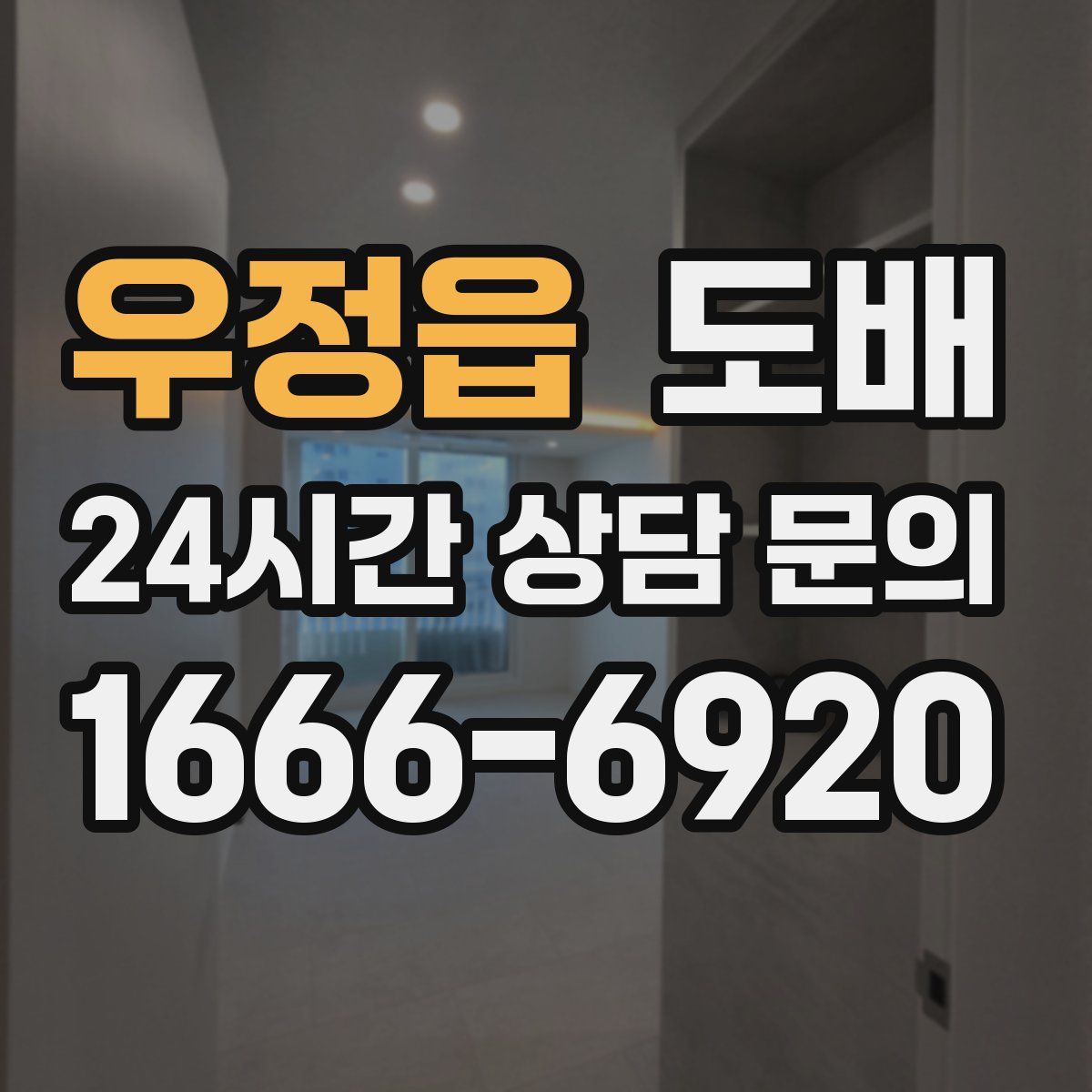 우정읍 도배