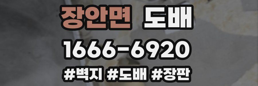 장안면 도배