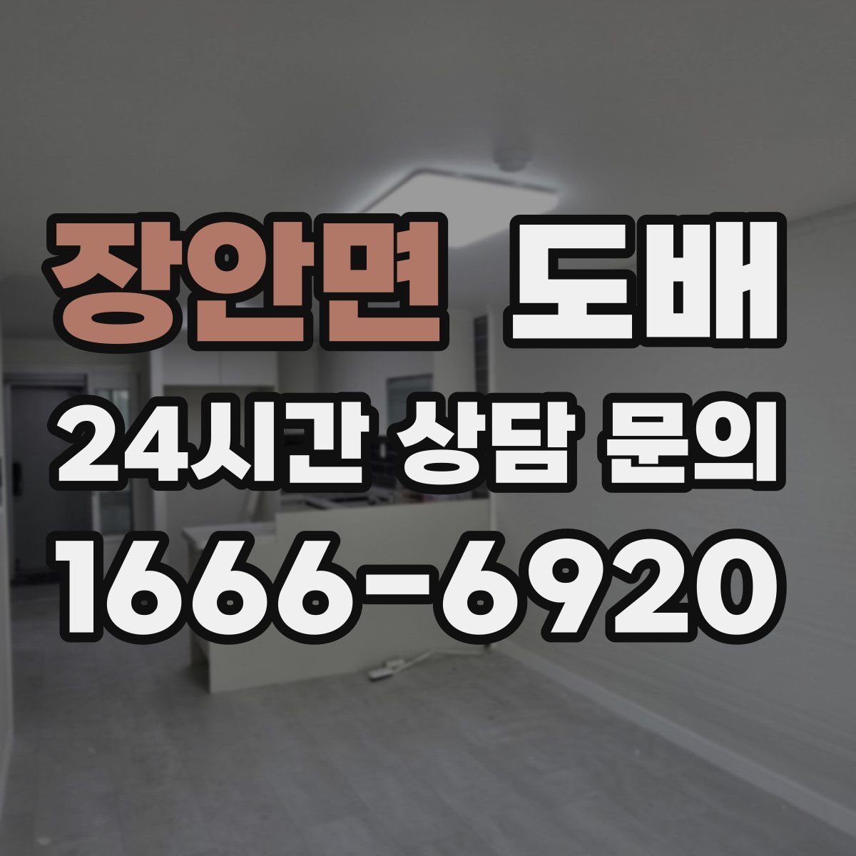 장안면 도배