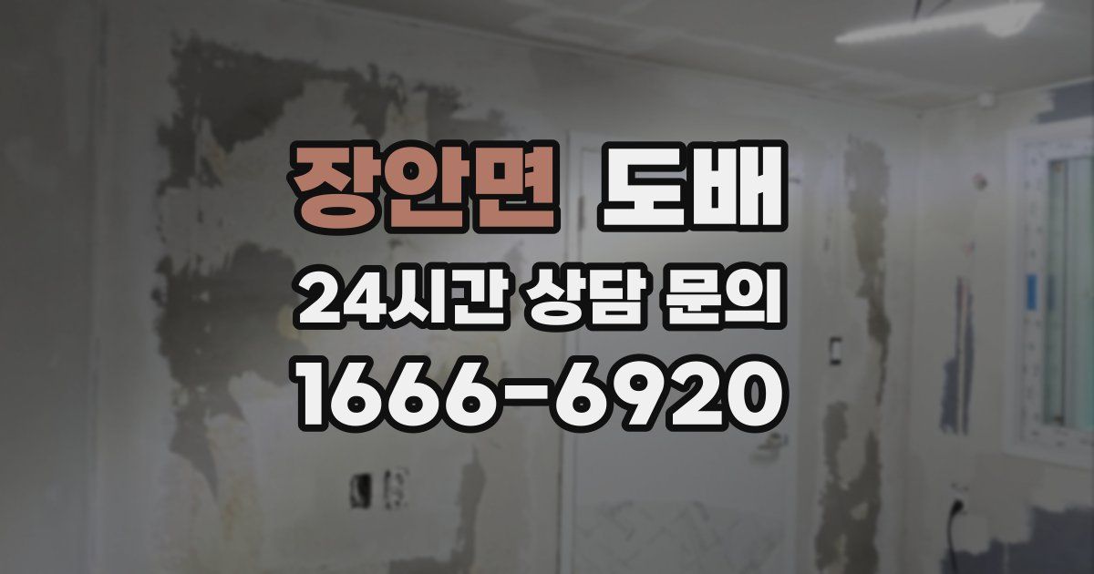 장안면 도배