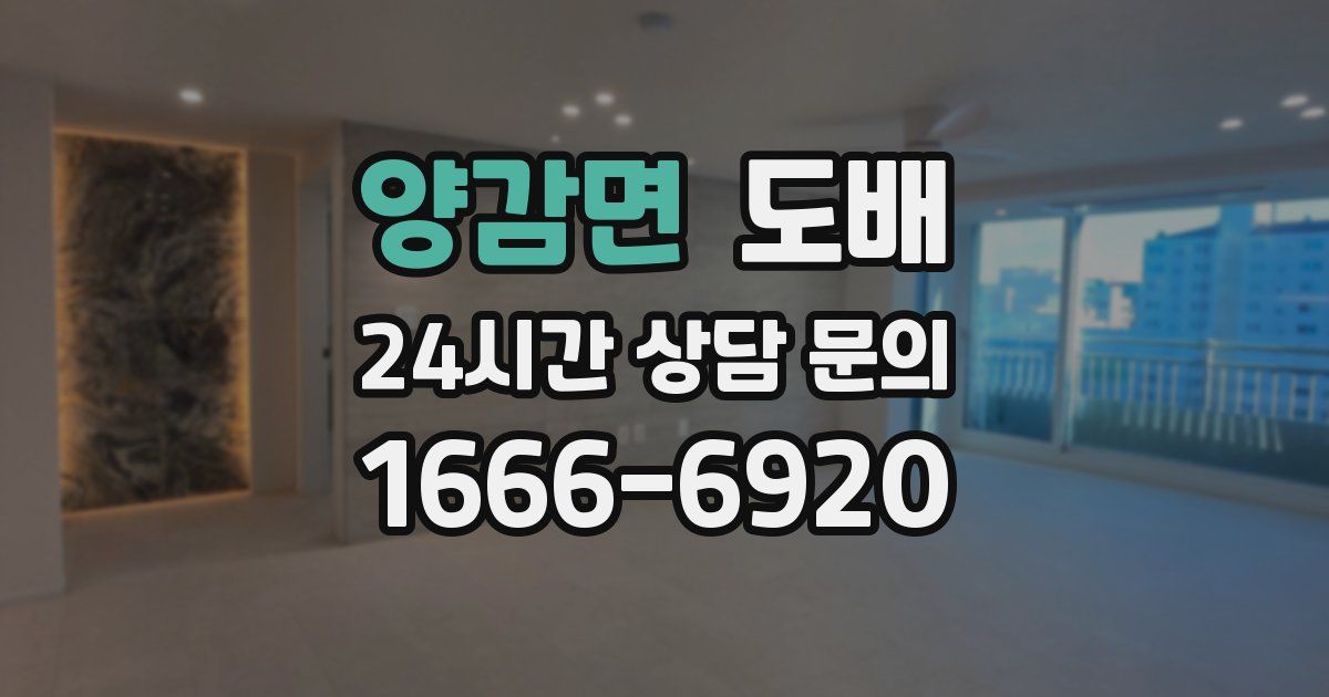 양감면 도배