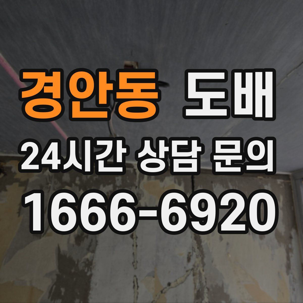 경안동 도배