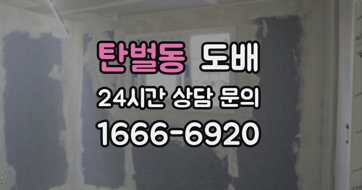 탄벌동 도배