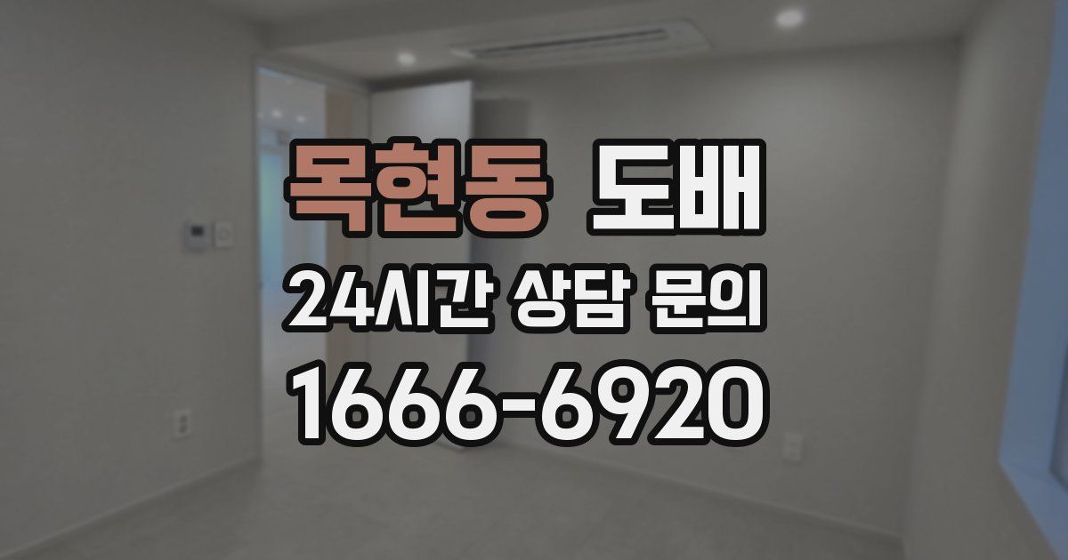 목현동 도배