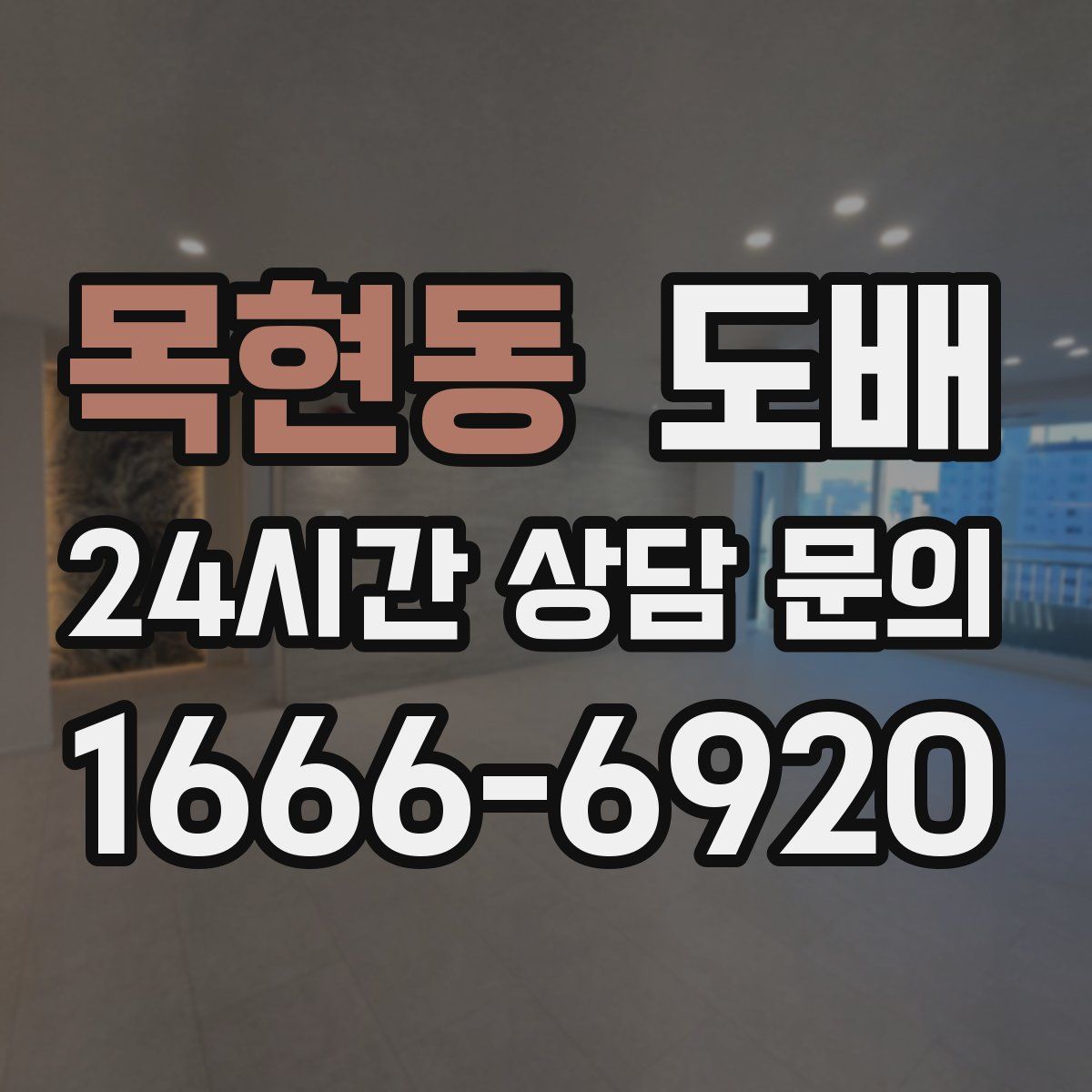 목현동 도배