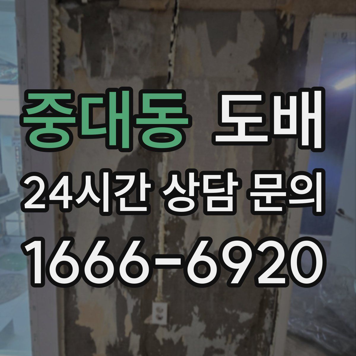 중대동 도배