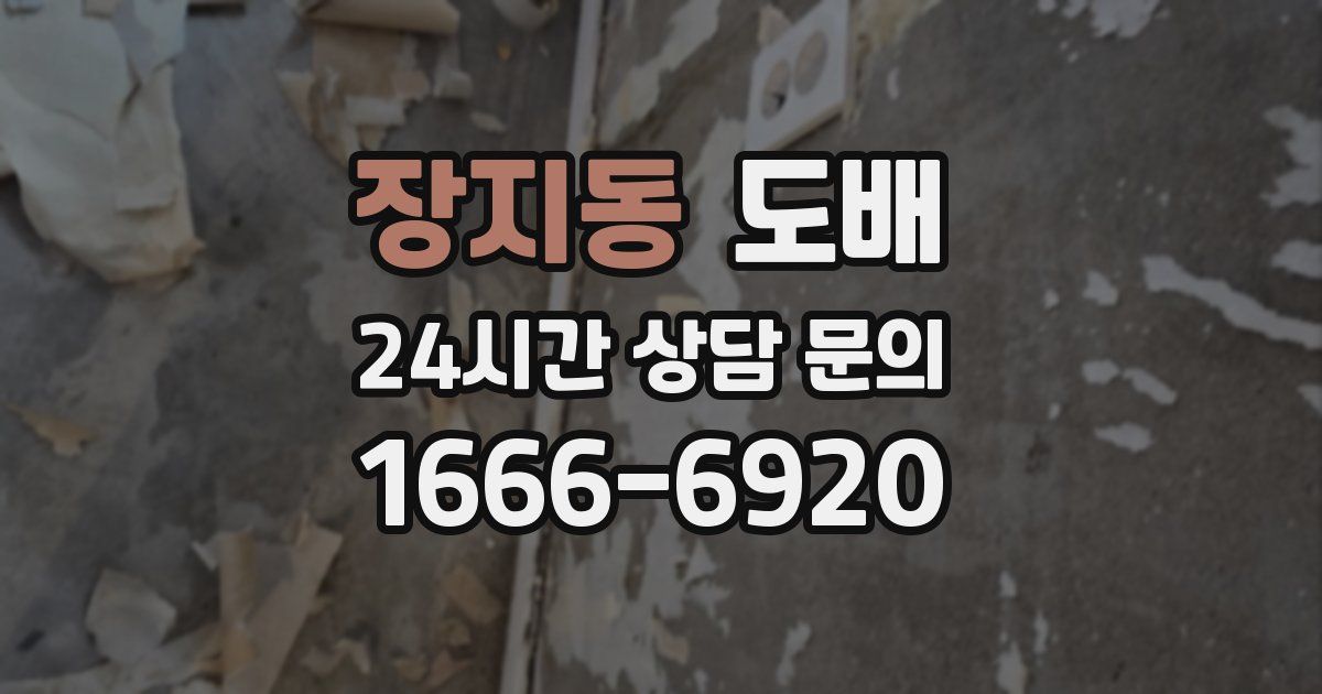장지동 도배