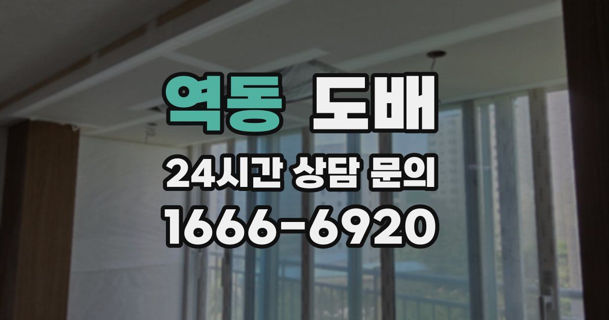 역동 도배