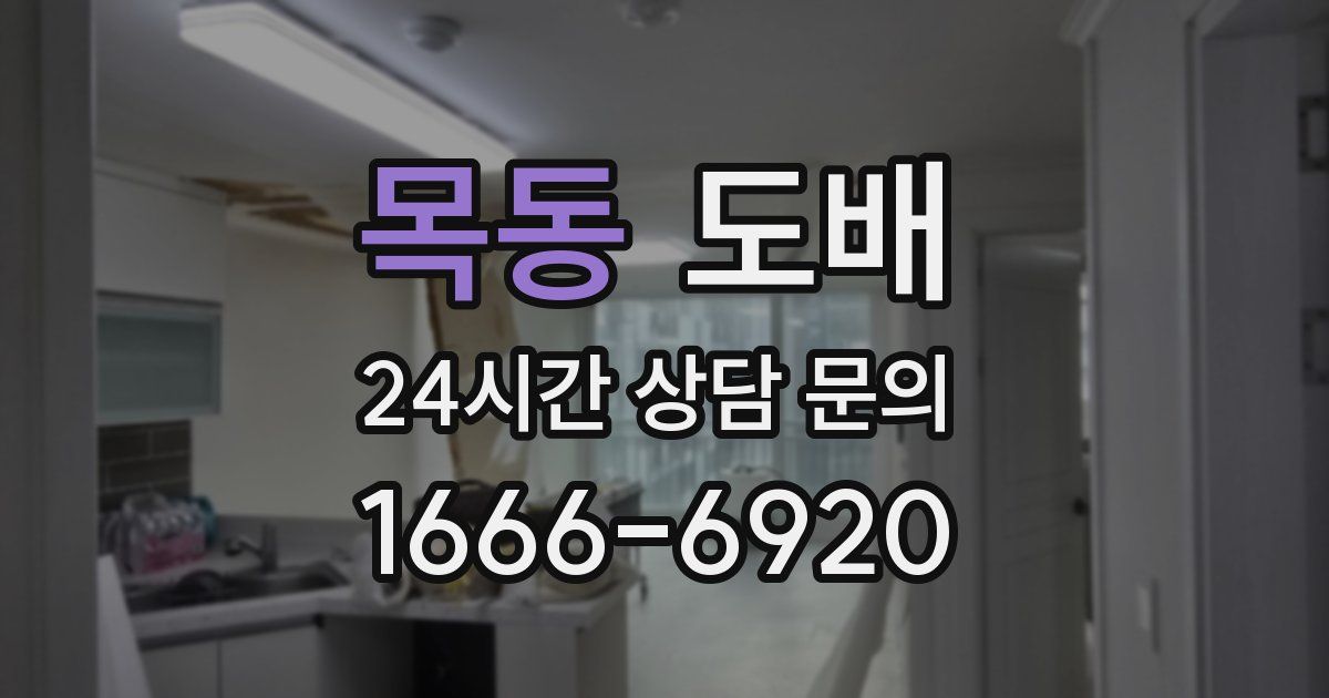 목동 도배