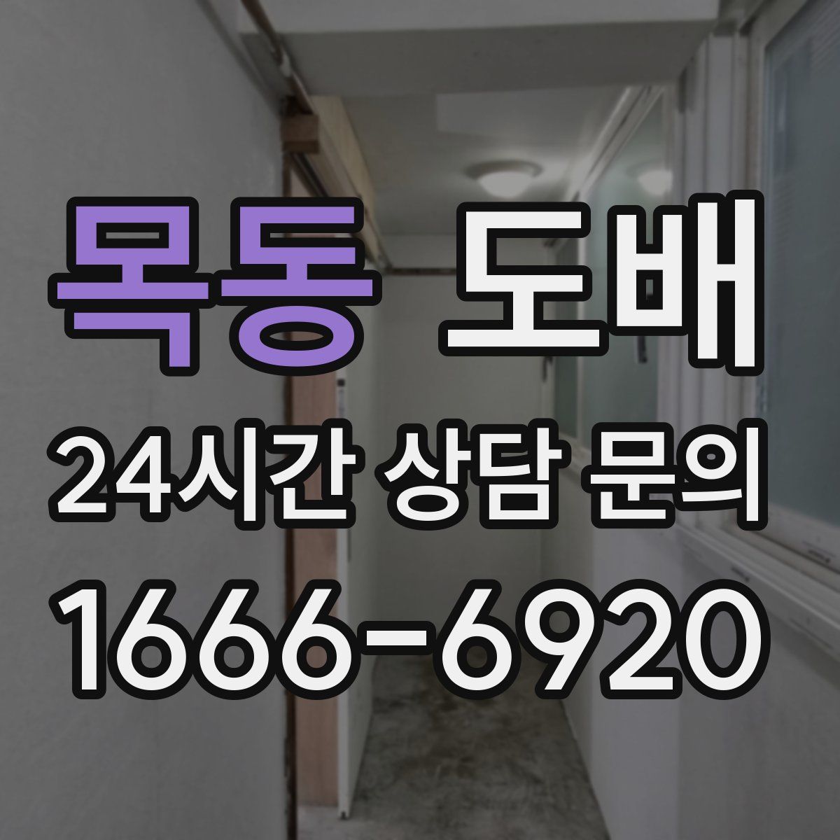 목동 도배