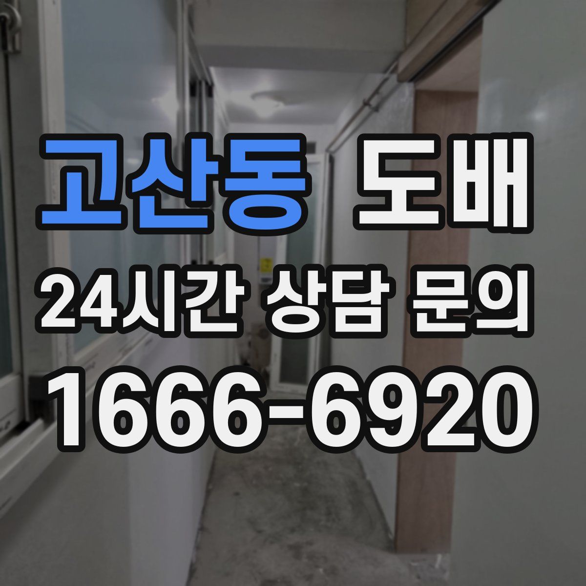 고산동 도배