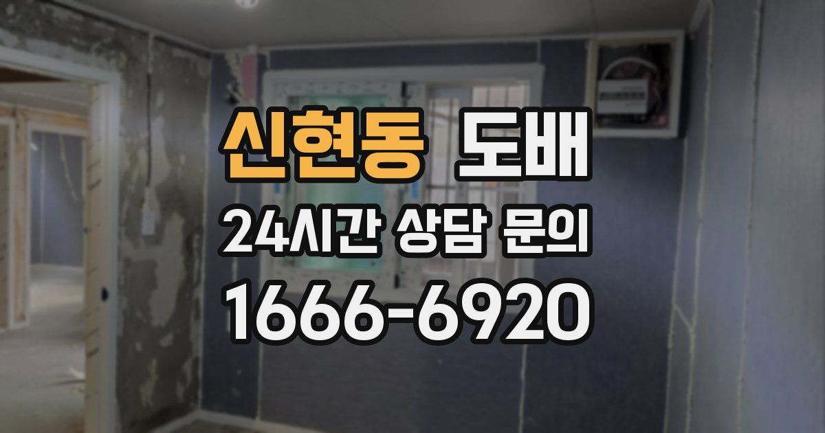 신현동 도배