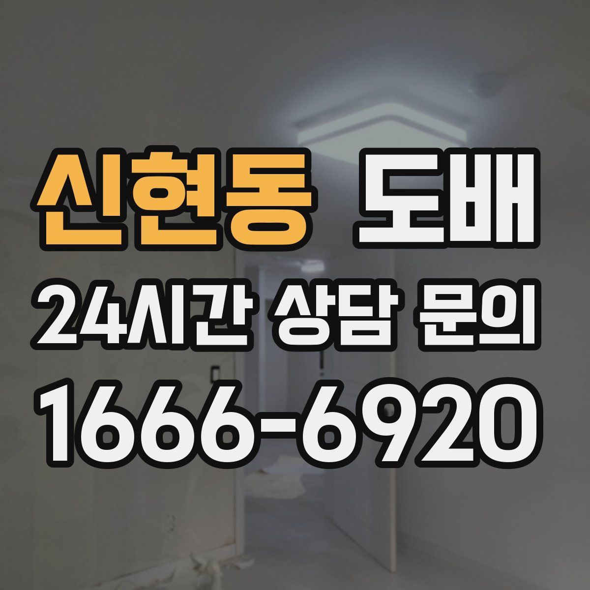 신현동 도배