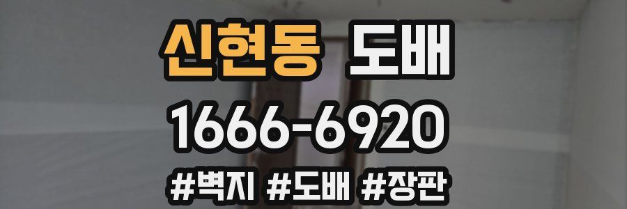 신현동 도배