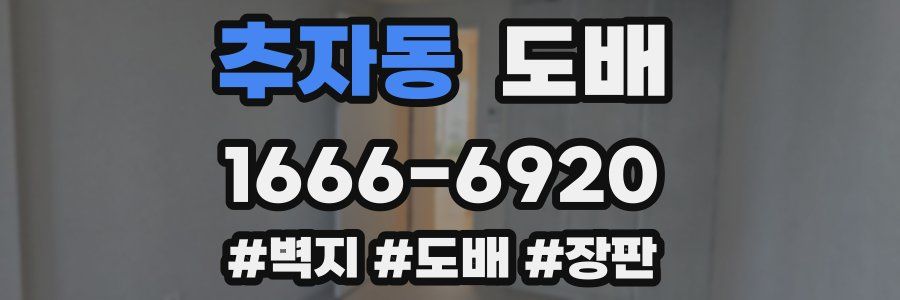 추자동 도배