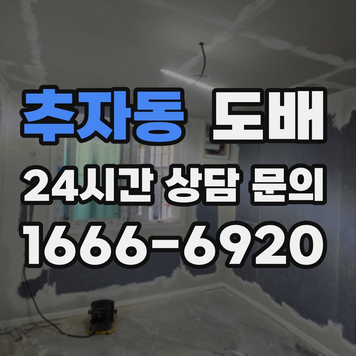 추자동 도배