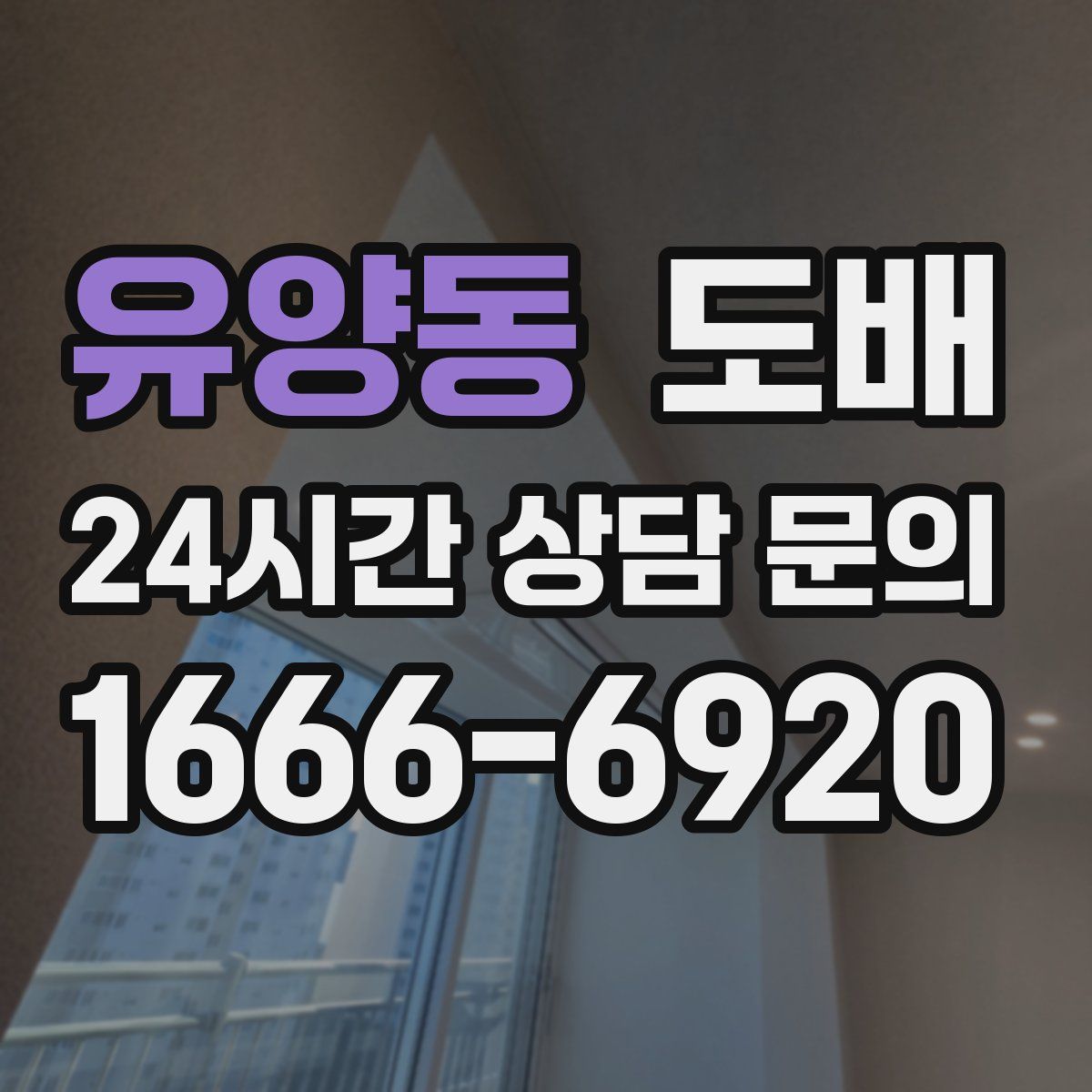 유양동 도배