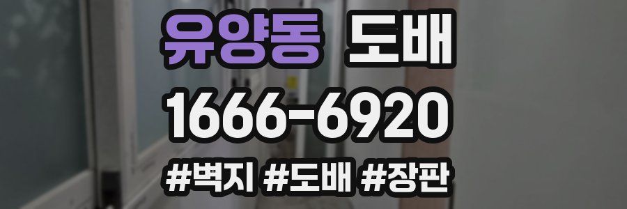 유양동 도배