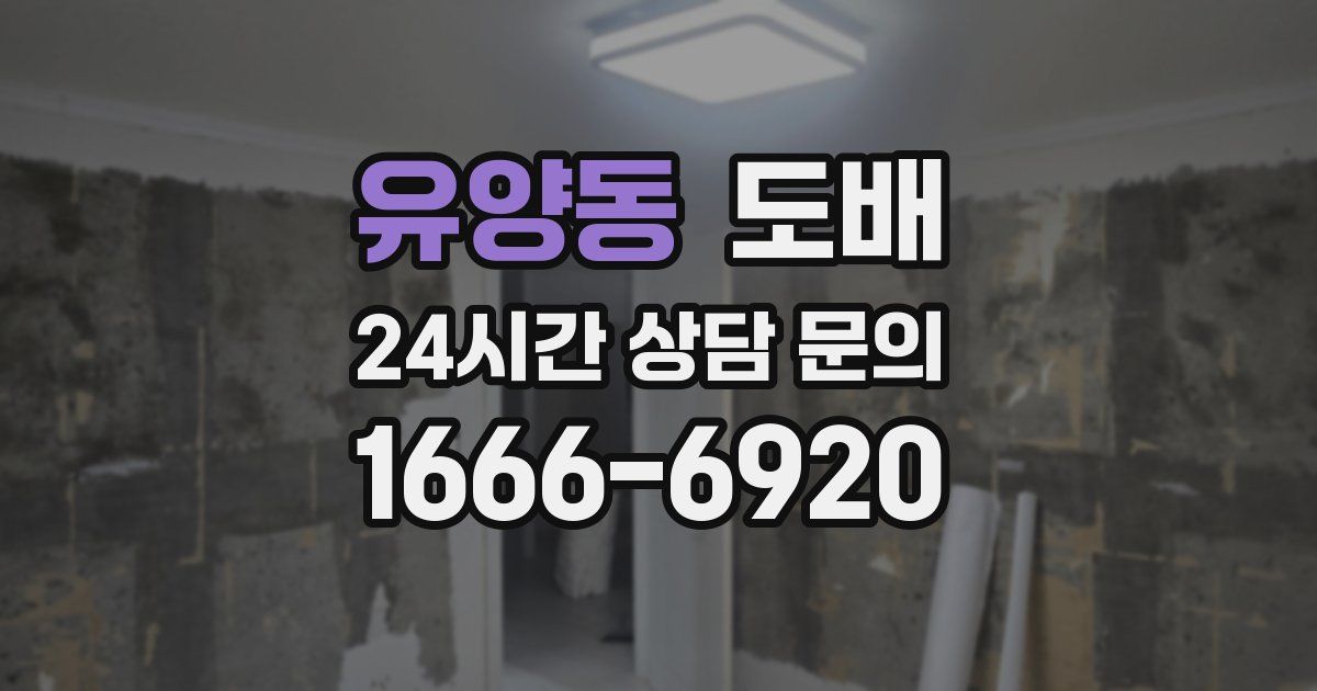 유양동 도배