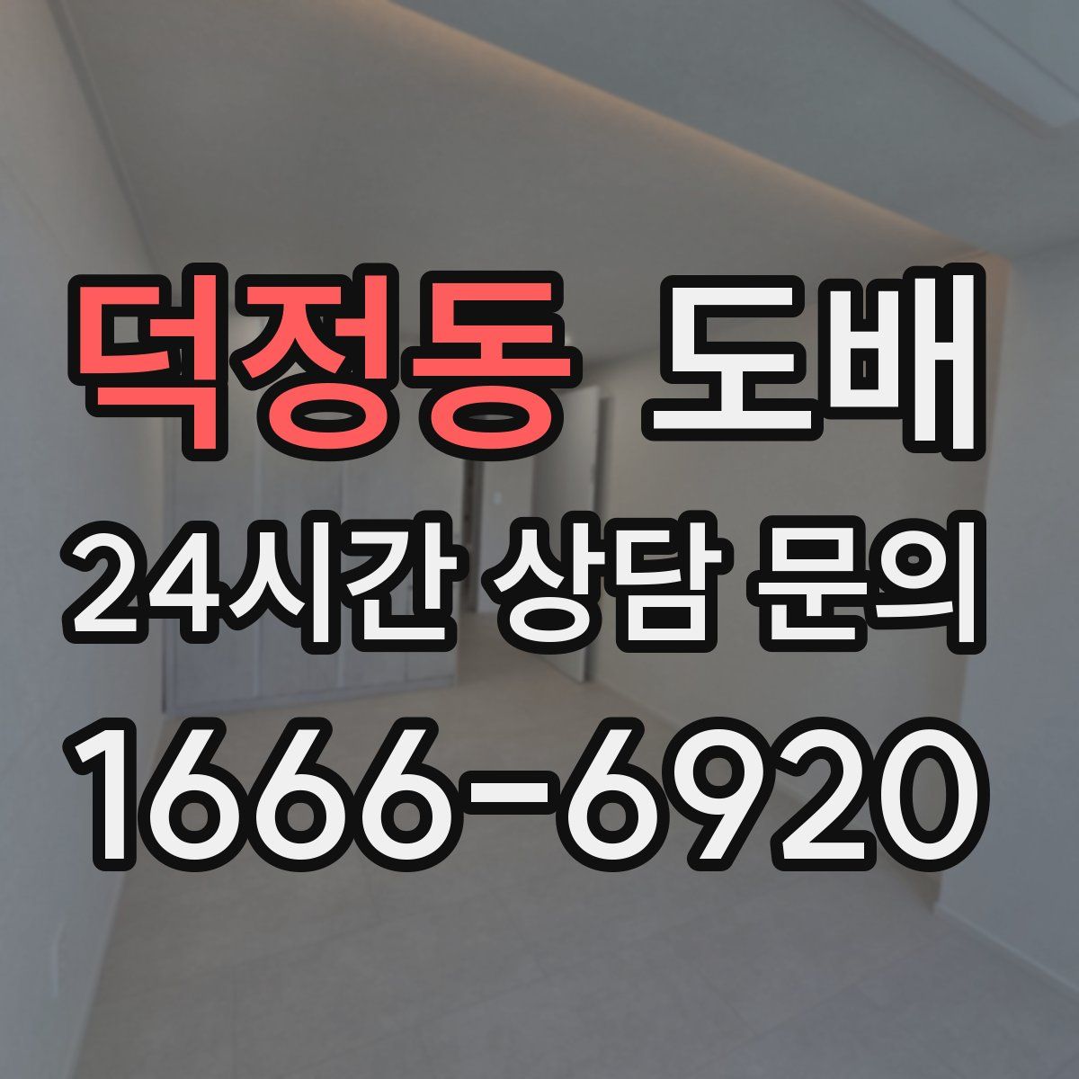 덕정동 도배