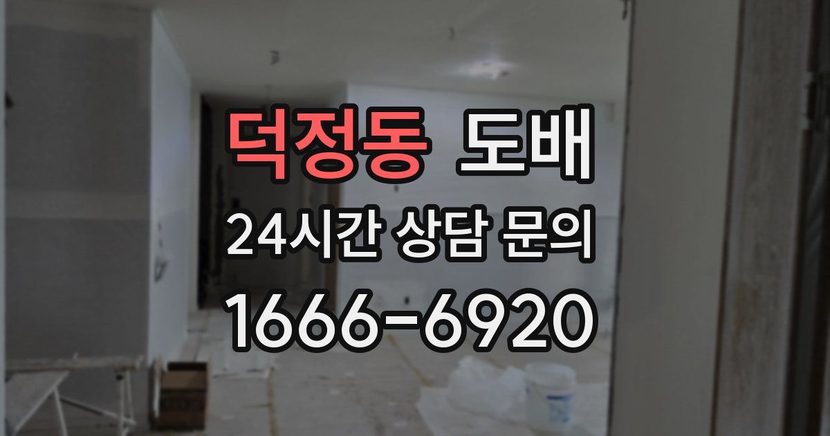 덕정동 도배